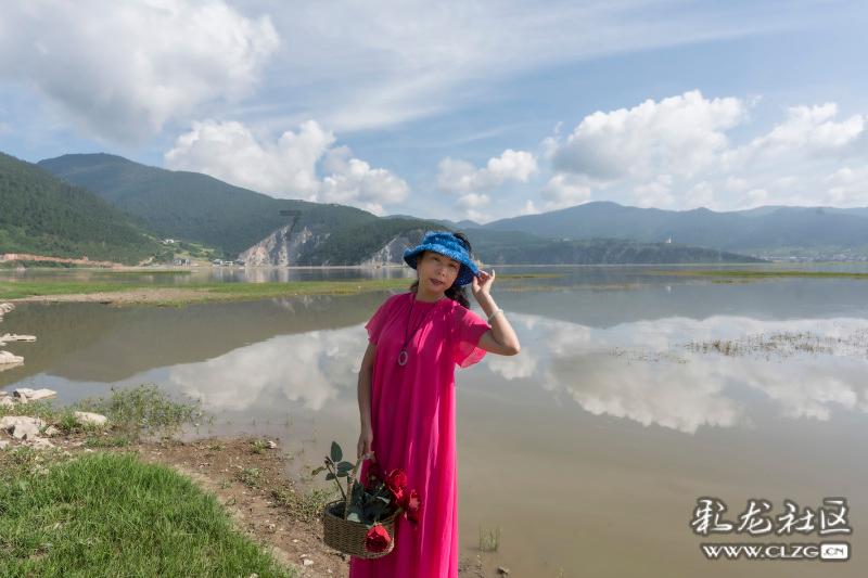 何乐而不为是什么意思